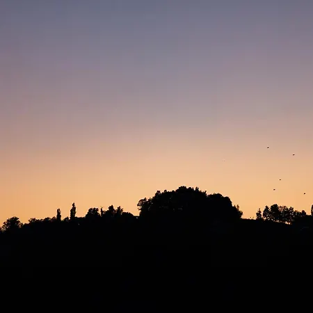 Kellerstoeckel Steinbach Casa de Férias *