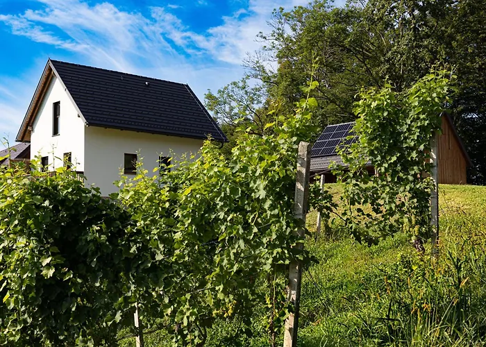 Kellerstoeckel Steinbach